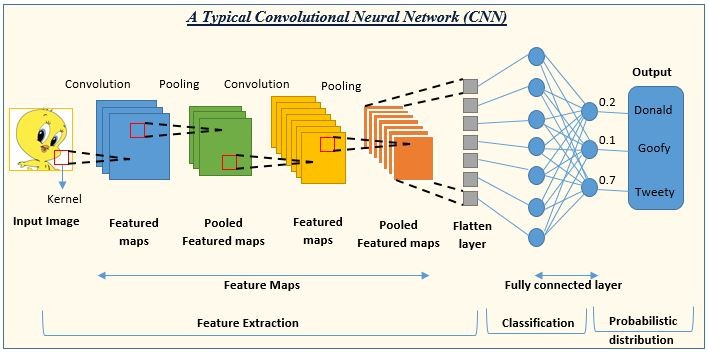 Convolutional Neural Networks, CNN